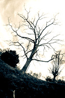 20120317_SpartaWaterfall_0216