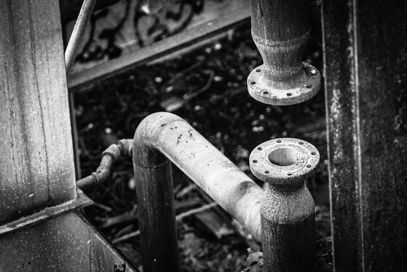 © Bill Rush